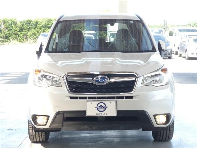 Subaru FORESTER 2014-03 10062-19