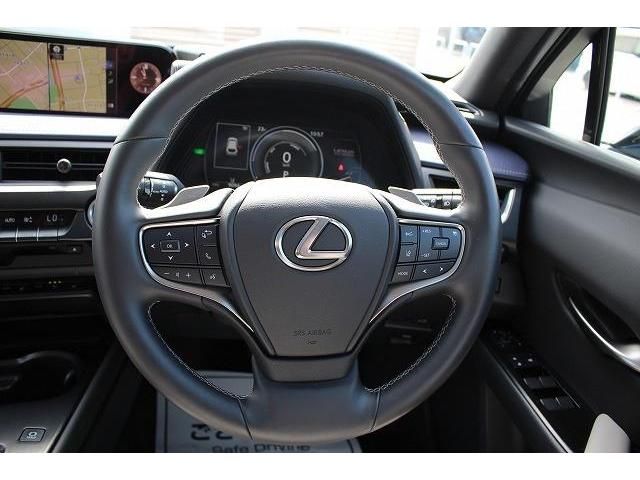 Lexus UX 2021-02 8824-15