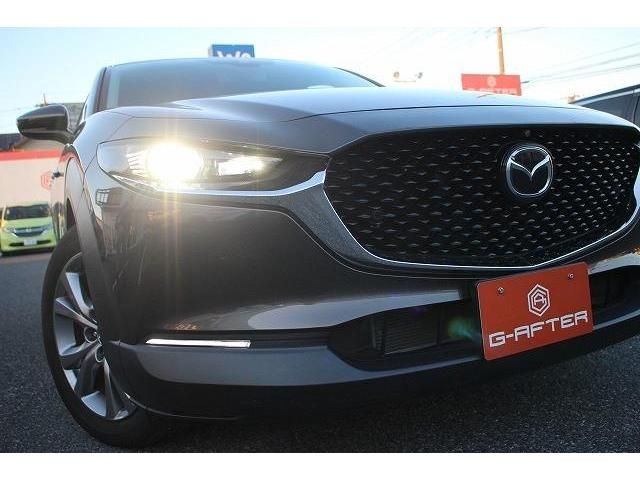 Mazda CX-30 2019-11 20065-10