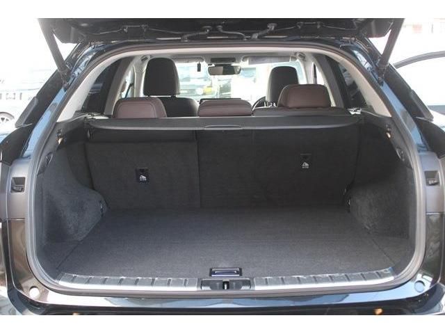 Lexus RX 2015-11 7518-17