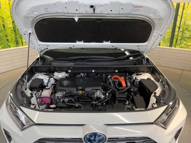 Toyota RAV4 2019-10 194810-18