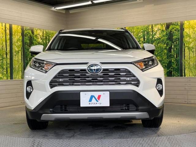 Toyota RAV4 2019-10 194810-14