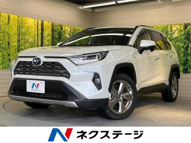 Toyota RAV4 2019-10 194810-0