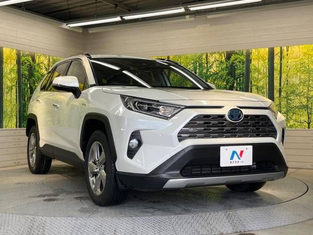 Toyota RAV4 2019-10 194810-16