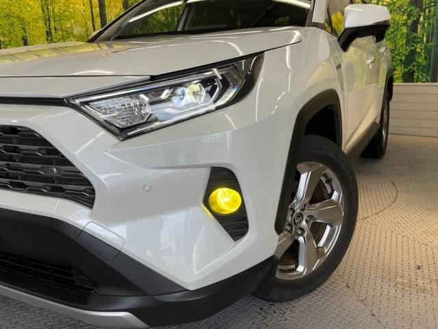 Toyota RAV4 2019-10 194810-12