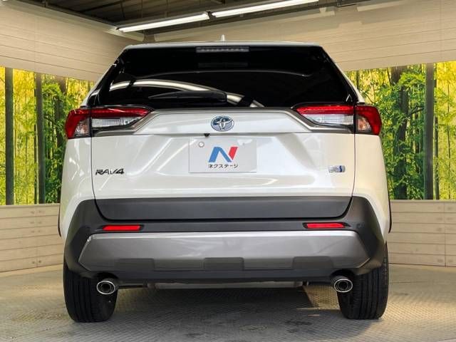 Toyota RAV4 2019-10 194810-15
