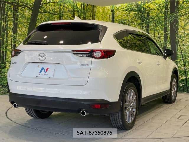 Mazda CX-8 2019-01 308566-17