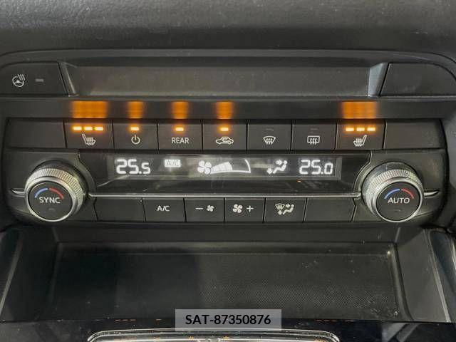 Mazda CX-8 2019-01 308566-6