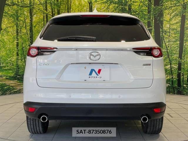 Mazda CX-8 2019-01 308566-15