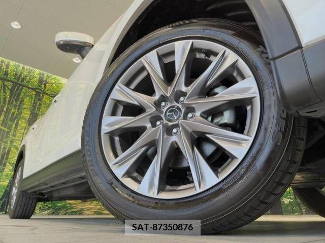 Mazda CX-8 2019-01 308566-13