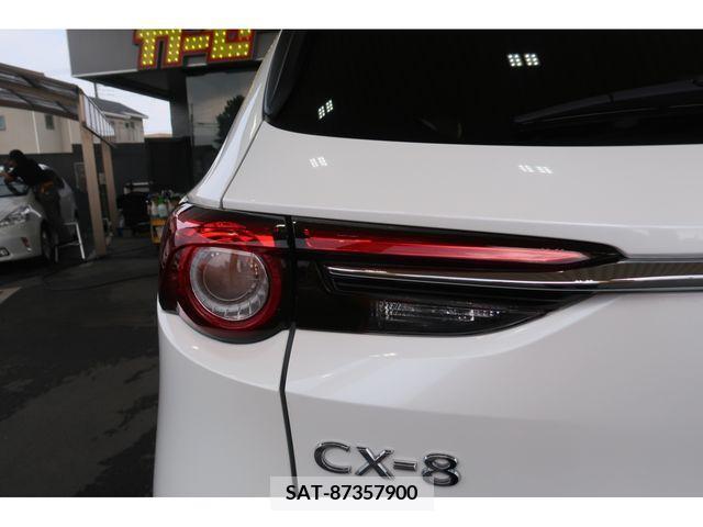 Mazda CX-8 2020-01 308596-28