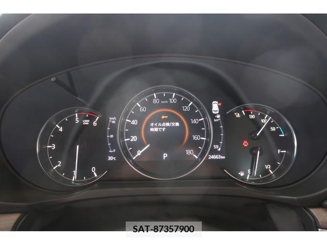 Mazda CX-8 2020-01 308596-9