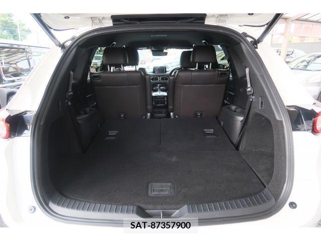 Mazda CX-8 2020-01 308596-26