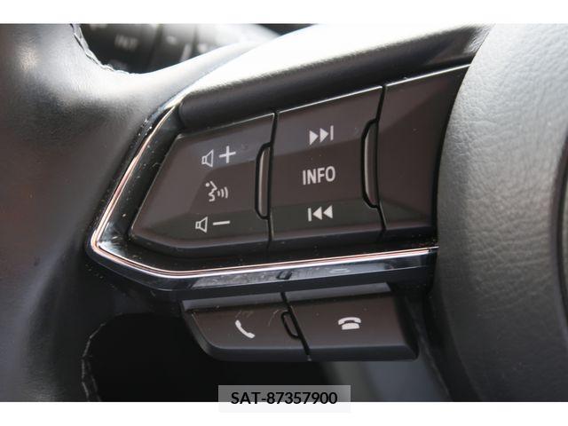 Mazda CX-8 2020-01 308596-10