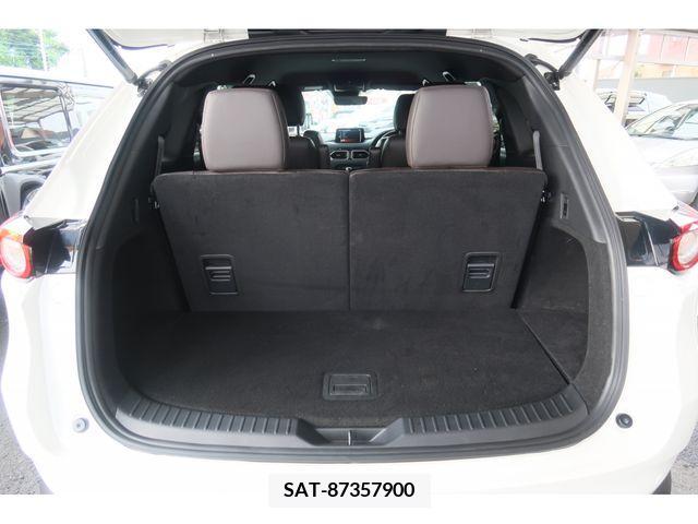 Mazda CX-8 2020-01 308596-25