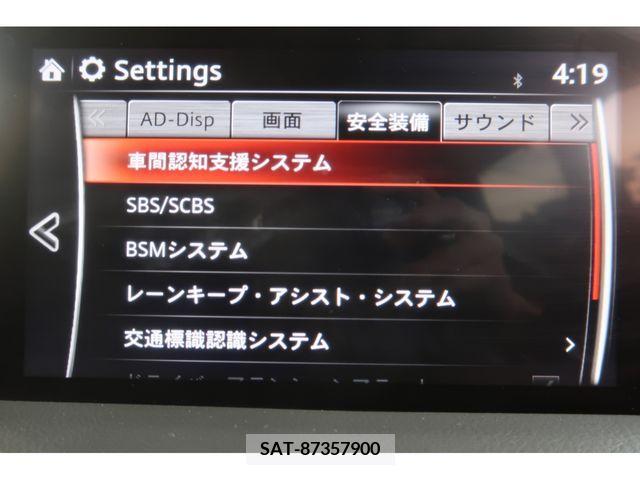 Mazda CX-8 2020-01 308596-7