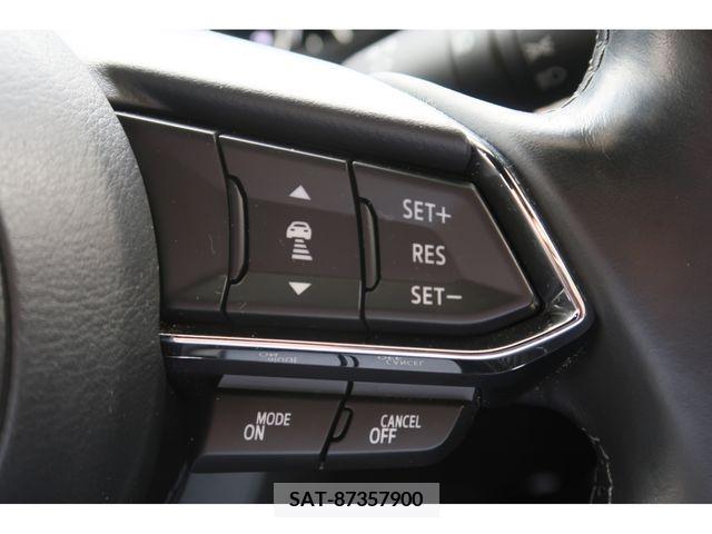 Mazda CX-8 2020-01 308596-11