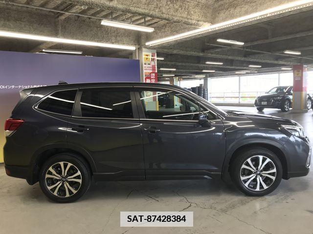 Subaru FORESTER 2019-03 350167-5