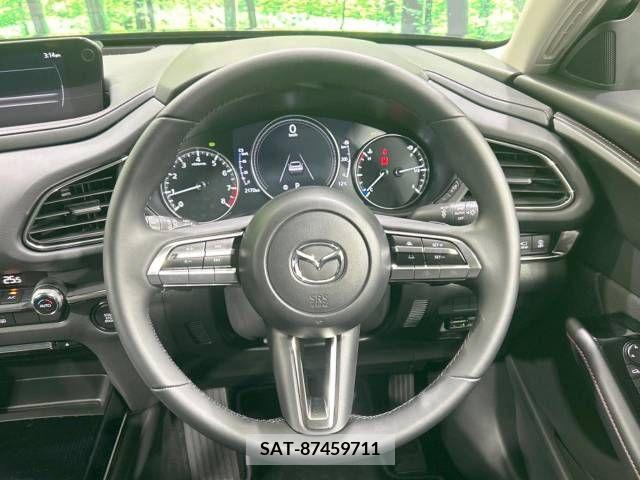 Mazda CX-30 2022-12 238440-11