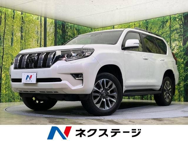 Toyota PRADO 2022-01 185519-0