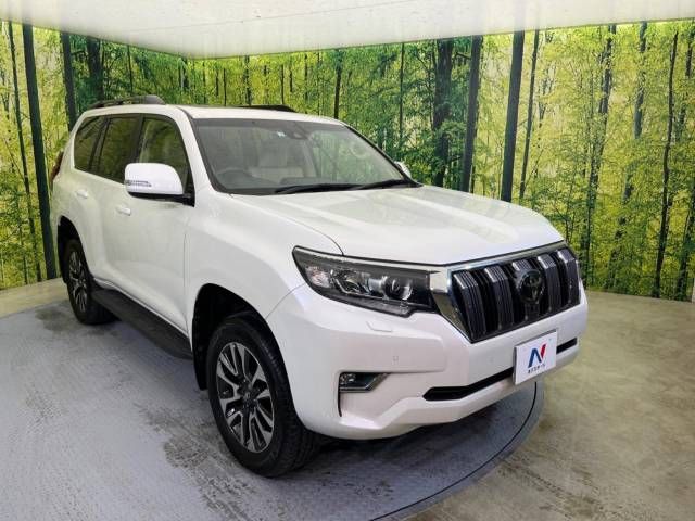 Toyota PRADO 2022-01 185519-17