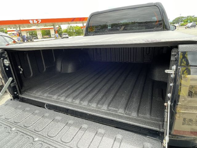 Toyota HILUX 2019-04 4856-7