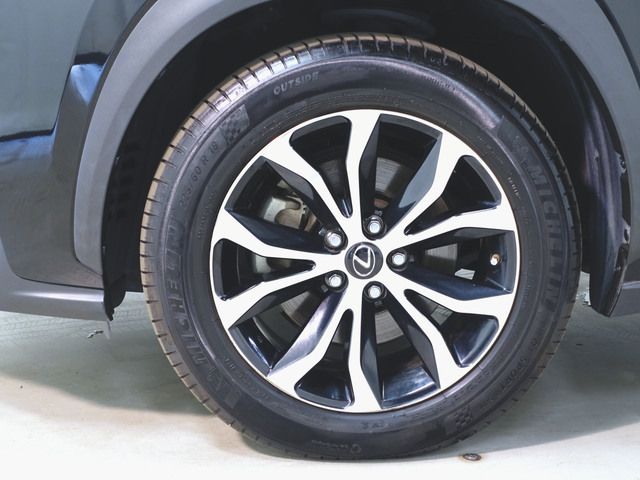 Lexus NX 2016-01 18169-16