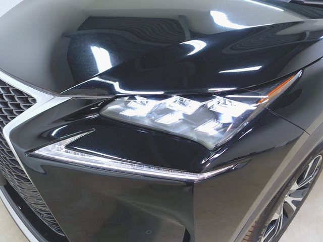 Lexus NX 2016-01 18169-17