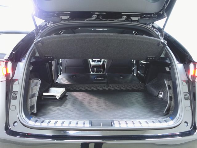 Lexus NX 2016-01 18169-13