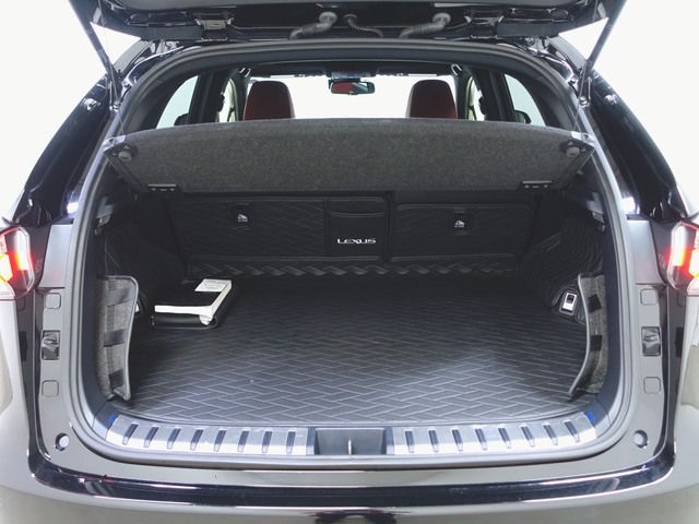 Lexus NX 2016-01 18169-10