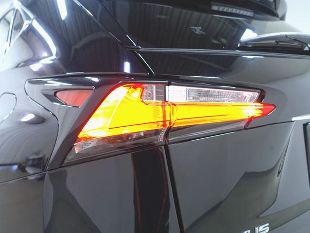 Lexus NX 2016-01 18169-6