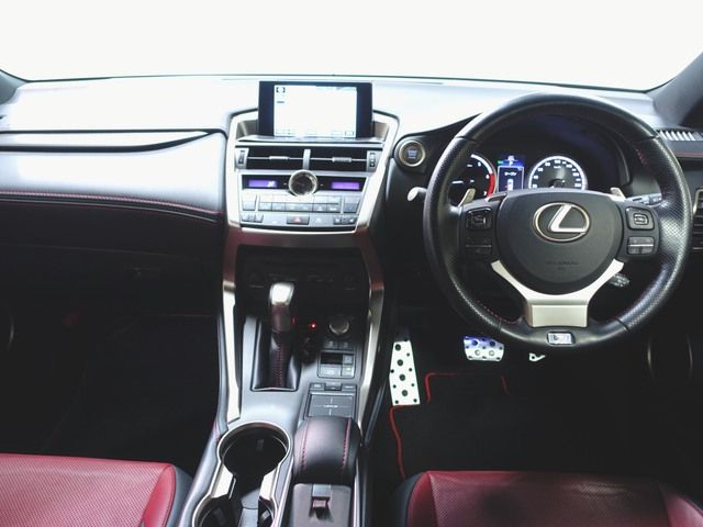 Lexus NX 2016-01 18169-3
