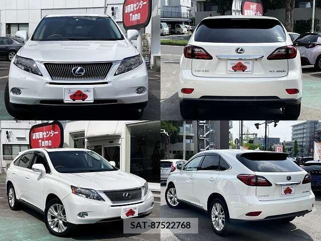 Lexus RX 2010-07 388205-8