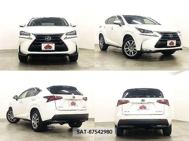 Lexus NX 2015-05 391903-8