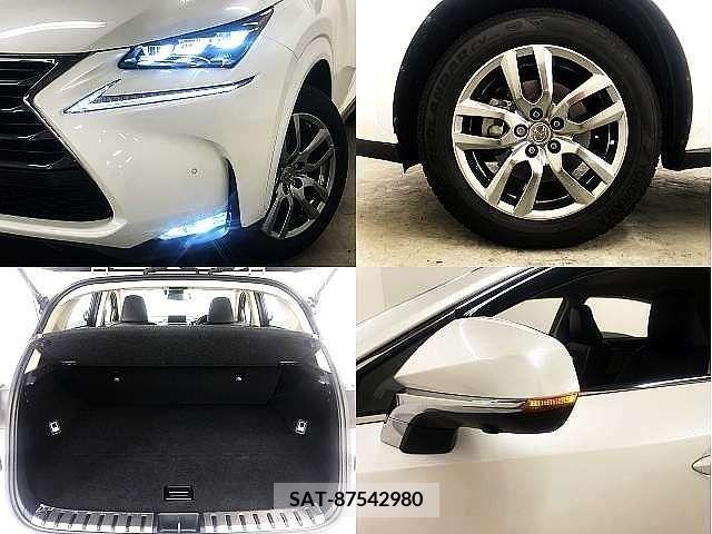 Lexus NX 2015-05 391903-7