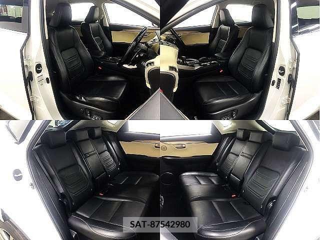 Lexus NX 2015-05 391903-6