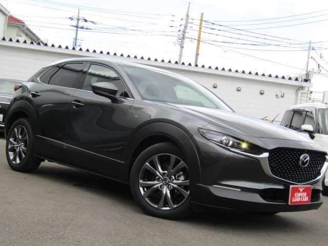 Mazda CX-30 2019-12 23320-1