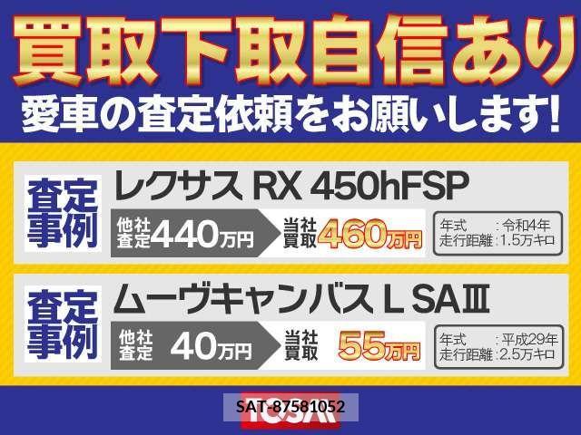 Nissan DAYZ ROOX 2017-03 267204-5