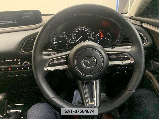 Mazda CX-30 2020-09 336914-13