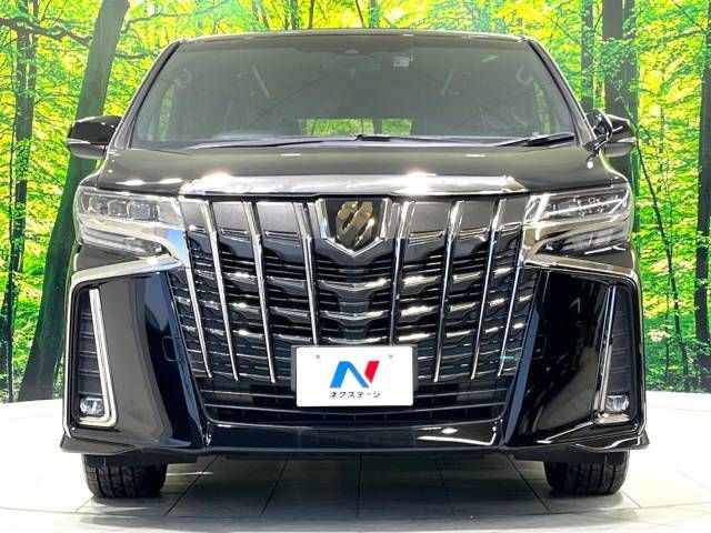 Toyota ALPHARD 2020-09 194808-15