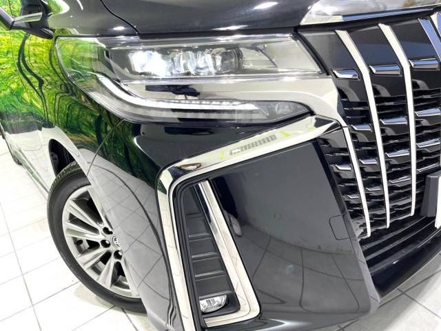 Toyota ALPHARD 2020-09 194808-13