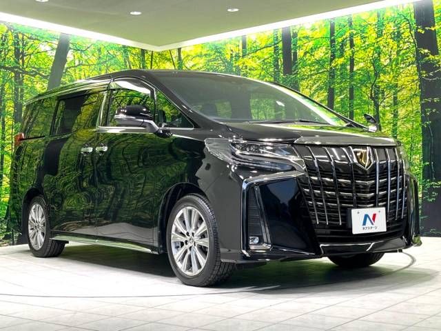 Toyota ALPHARD 2020-09 194808-17