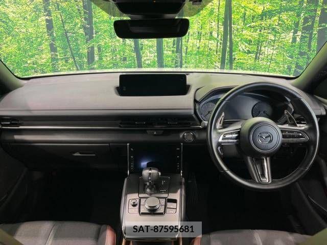 Mazda MX-30 2021-06 302261-1