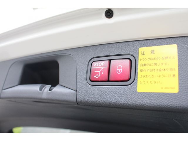 Amg C-CLASS 2017-01 2685-29