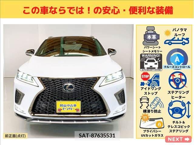 Lexus RX 2019-11 200623-7