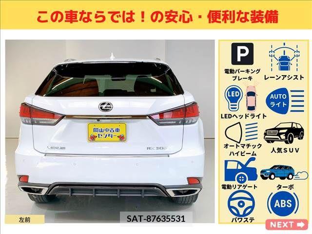 Lexus RX 2019-11 200623-8