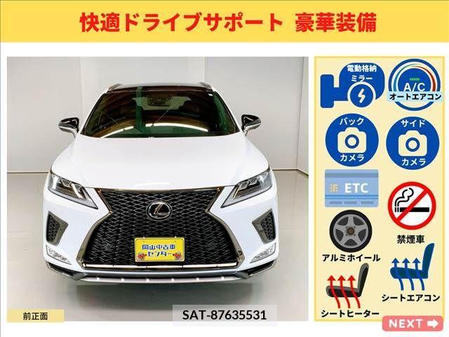 Lexus RX 2019-11 200623-6