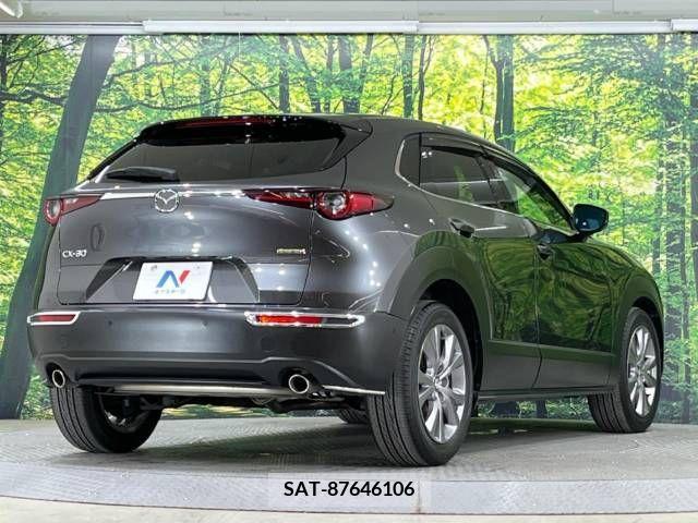 Mazda CX-30 2019-10 265634-16