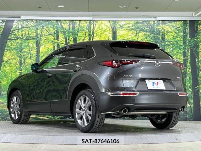 Mazda CX-30 2019-10 265634-15