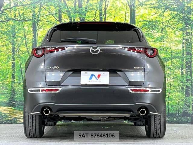 Mazda CX-30 2019-10 265634-14